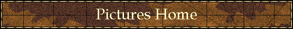 Pictures Home